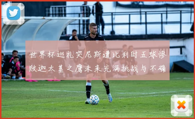 世界杯巡礼突尼斯遭比利时五球惨败迦太基之鹰未来充满挑战与不确定性